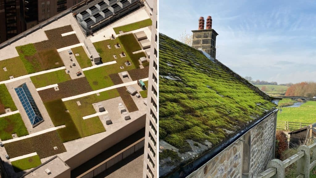 Green roofs can aid in passive solar design, reducing heating and cooling costs.