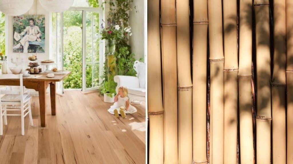 Bamboo floors are highly popular alternative to hardwood flooring